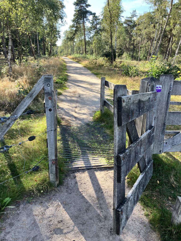 De huidige afbeelding heeft geen alternatieve tekst. De bestandsnaam is: IMG_7220-scaled.jpeg